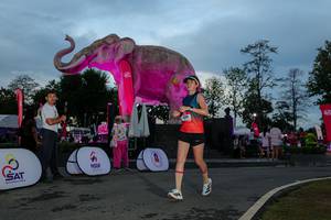 BIB: 
                            <button type="button" onclick="openModal(26529562)" class="btn btn-primary btn-sm float-right btn-popup" data-toggle="modal" data-target=".modal-high-quality">
                        <i class="fas fa-shopping-cart"></i> Add to Cart
                    </button>
                                            <button type="button" onclick="isThisMe(26529562, true)" class="btn btn-success btn-sm float-right btn-popup btn-isme hidden" data-toggle="tooltip" data-placement="bottom" title="นี่คือรูปของคุณใช่ไหม คลิกที่นี่เพื่อเอาเข้าอัลบั้ม">
                        <i class="fas fa-plus"></i> Add to album
                    </button>
                    <button type="button" onclick="isThisMe(26529562, false)" class="btn btn-warning btn-sm float-right btn-popup btn-isnotme hidden">
                        <i class="fas fa-ban"></i> Remove from album
                    </button>